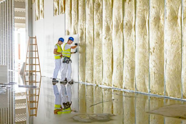 Best Home Insulation Services  in Oakboro, NC
